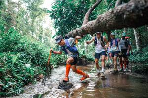 BIB: 
                            <button type="button" onclick="openModal(25369769)" class="btn btn-primary btn-sm float-right btn-popup" data-toggle="modal" data-target=".modal-high-quality">
                        <i class="fas fa-shopping-cart"></i> Add to Cart
                    </button>
                                            <button type="button" onclick="isThisMe(25369769, true)" class="btn btn-success btn-sm float-right btn-popup btn-isme hidden" data-toggle="tooltip" data-placement="bottom" title="นี่คือรูปของคุณใช่ไหม คลิกที่นี่เพื่อเอาเข้าอัลบั้ม">
                        <i class="fas fa-plus"></i> Add to album
                    </button>
                    <button type="button" onclick="isThisMe(25369769, false)" class="btn btn-warning btn-sm float-right btn-popup btn-isnotme hidden">
                        <i class="fas fa-ban"></i> Remove from album
                    </button>